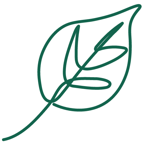 feuille-fond-3
