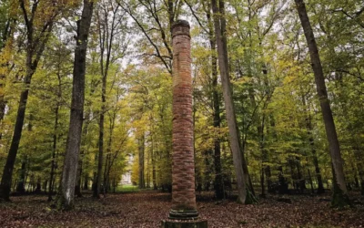 La Forêt de Châtres : Une acquisition stratégique pour le GFI France Valley Patrimoine