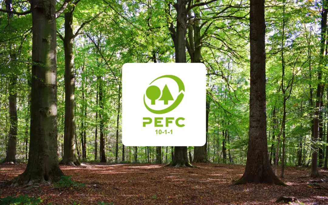 Nouveaux standards PEFC : une étape clé pour la gestion durable des forêtsfrançaises