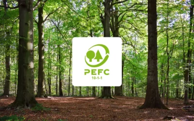 Nouveaux standards PEFC : une étape clé pour la gestion durable des forêtsfrançaises