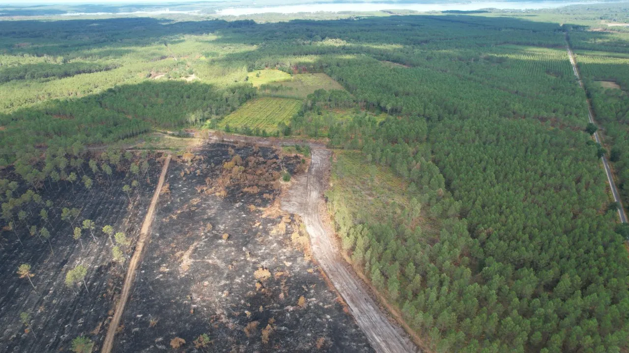 Forêts et risque incendie